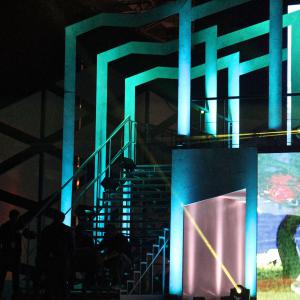 2012 Le bal des enfoirés