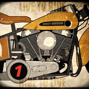 harley 1