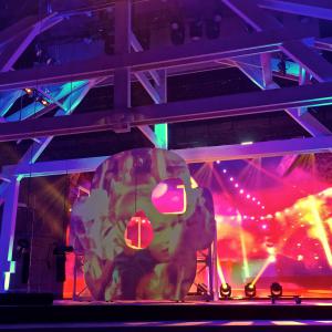 2017_Génération enfoirés